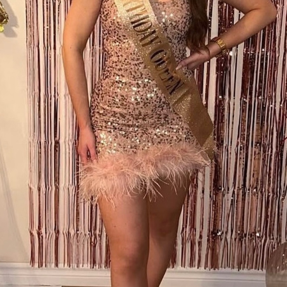 Windsor Pink Sparkly Feather Dress